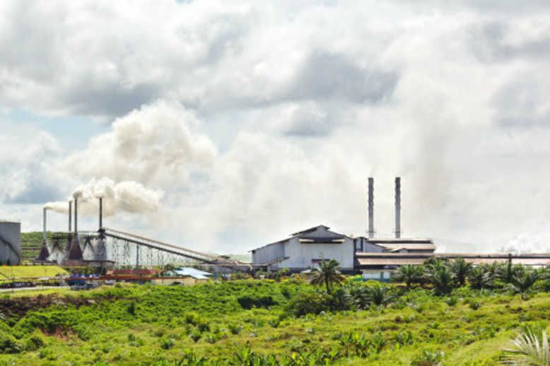 Refining biomass into liquid fuel Utilities Energy Digital